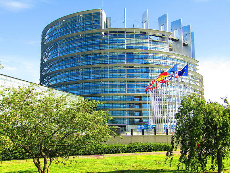 European Fiscal Capacity and New Own Resources: Proposals and Scenarios