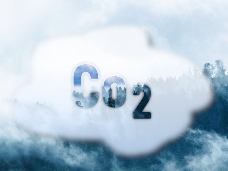 La tassa sul carbonio alla frontiera e il Climate Club