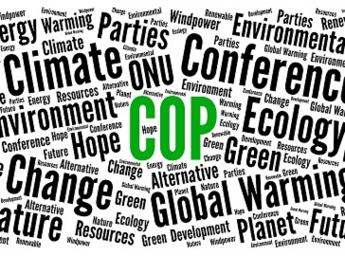 COP28: un passo avanti importante, ma non decisivo