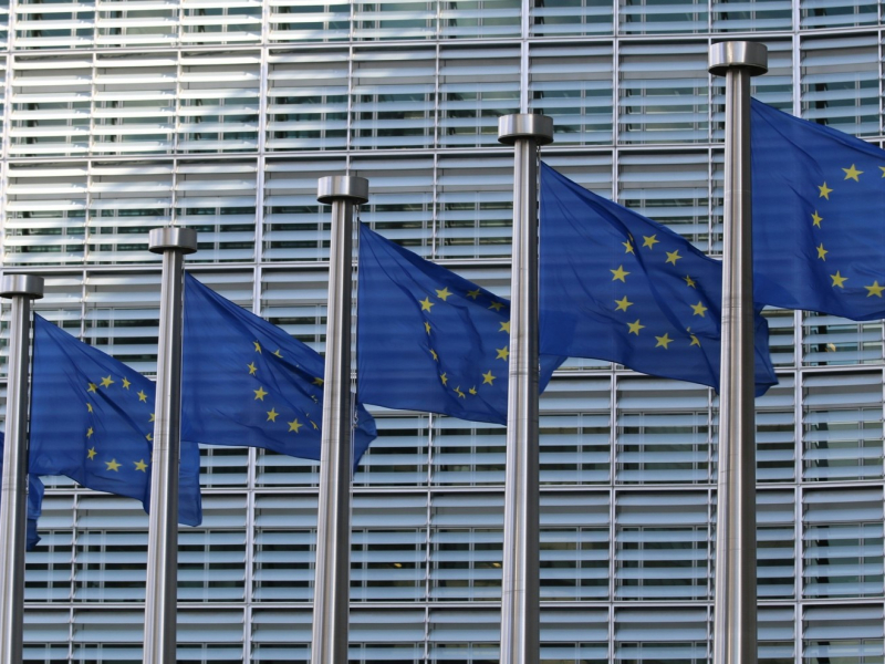 Quali istituzioni per progredire nell'integrazione europea?